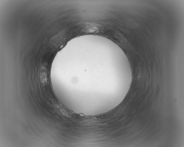 X0000078841442200612041827