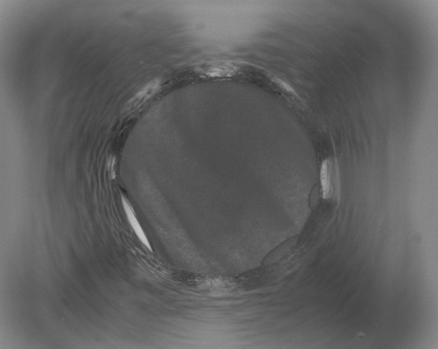 X0000078841443200612041827