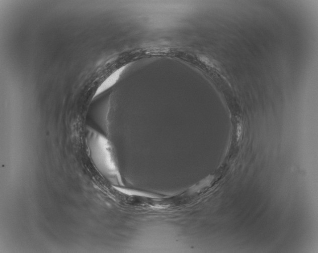 X0000078841445200612041827