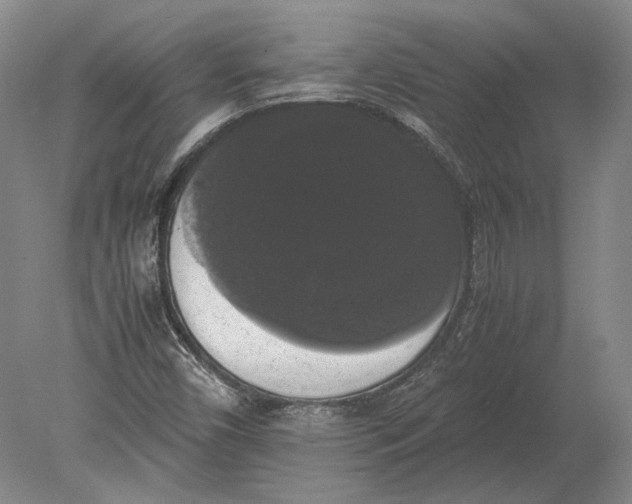 X0000078841450200612041827