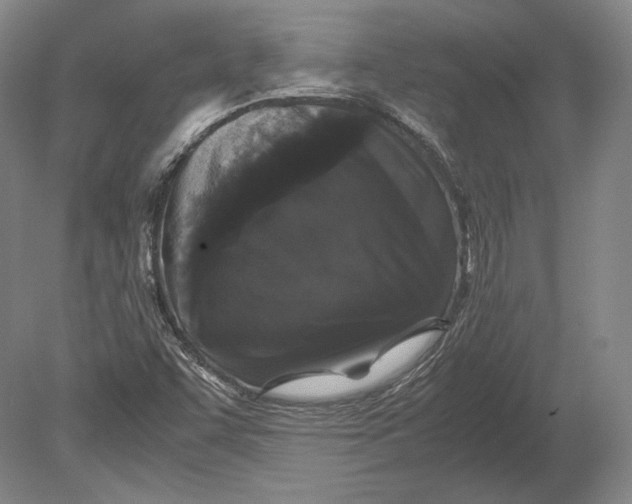 X0000078841455200612041827