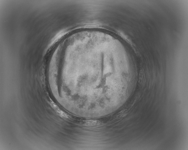 X0000078841456200612041827