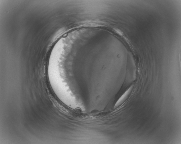 X0000078841459200612041827