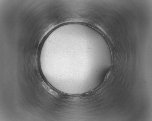 X0000078841460200612041827