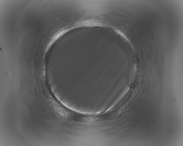 X0000078841461200612041827