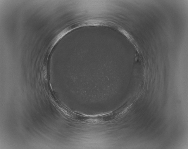 X0000078841465200612041827