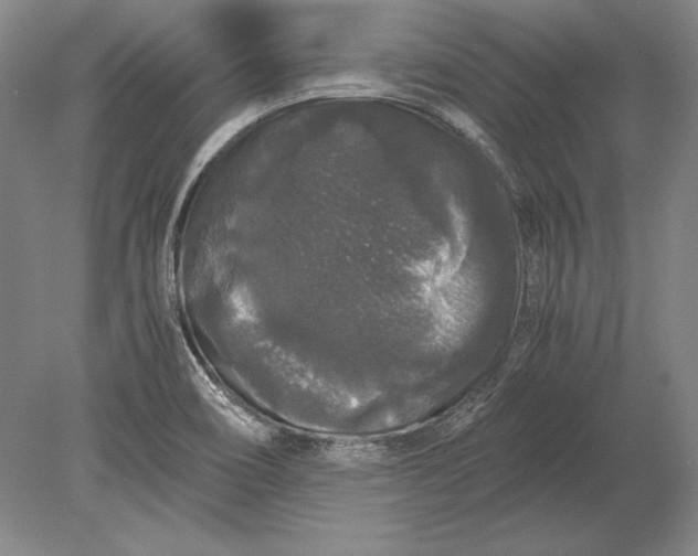 X0000078841466200612041827