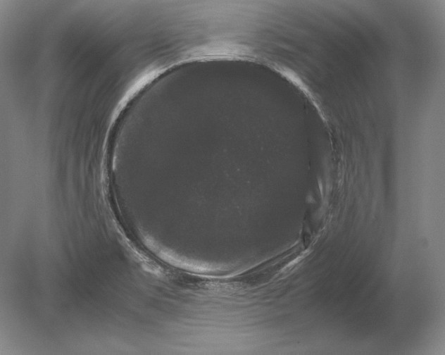 X0000078841469200612041826