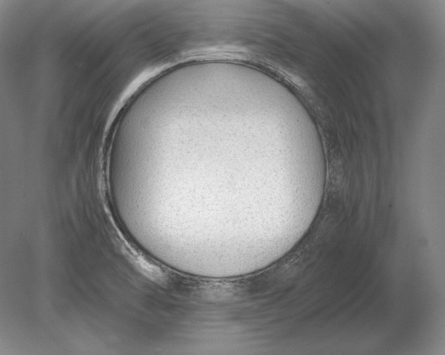 X0000078841470200612041826