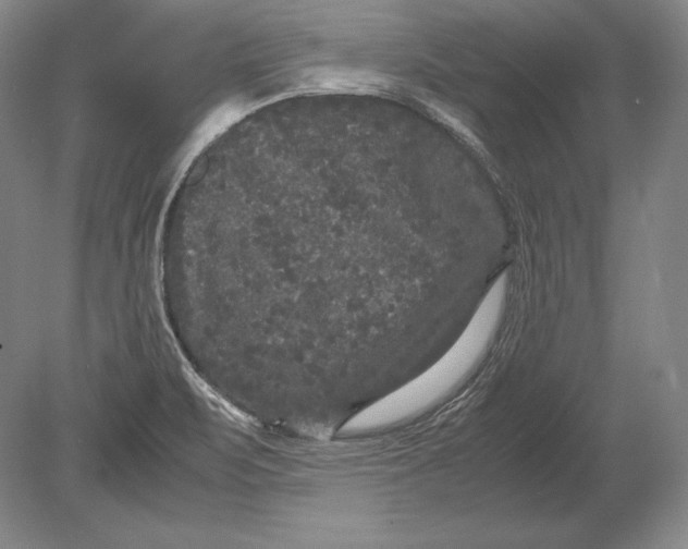 X0000078841471200612041826