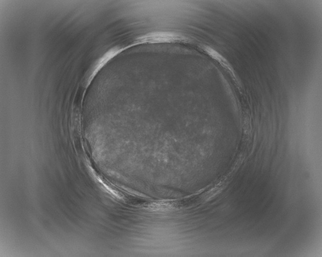 X0000078841473200612041826