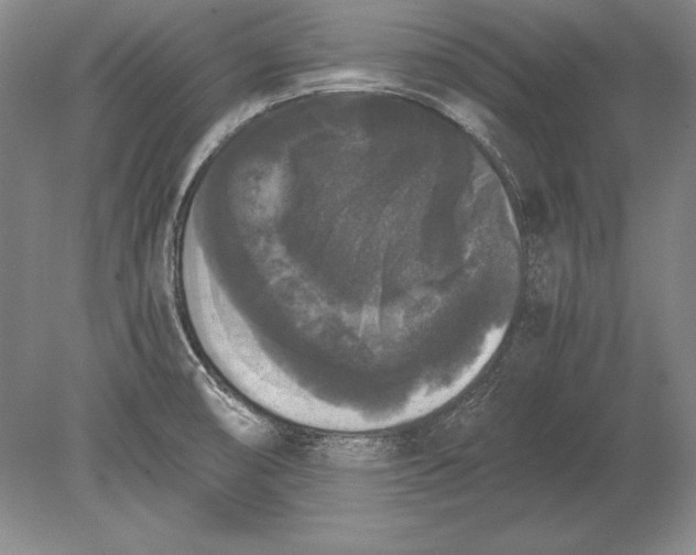 X0000078841474200612041826