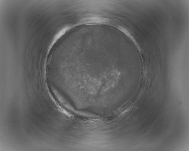 X0000078841477200612041826