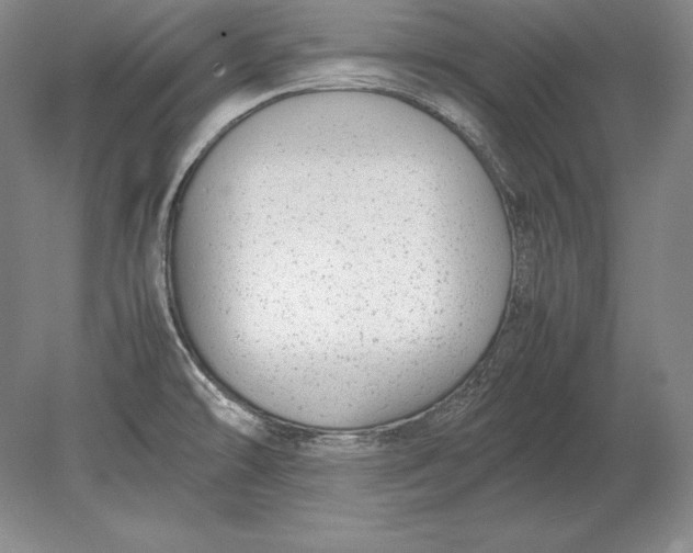 X0000078841478200612041826