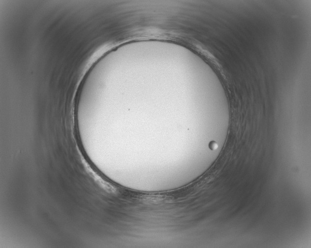 X0000078841479200612041826