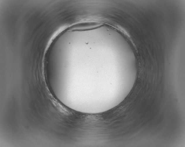 X0000078841480200612041826