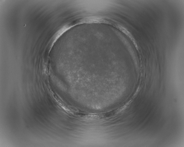 X0000078841481200612041826