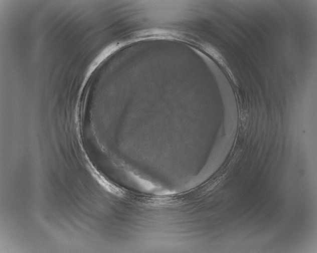 X0000078841482200612041826