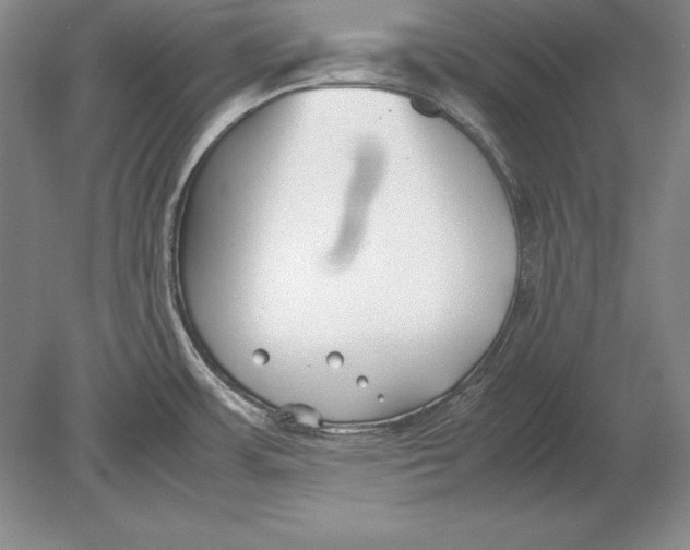 X0000078841483200612041826