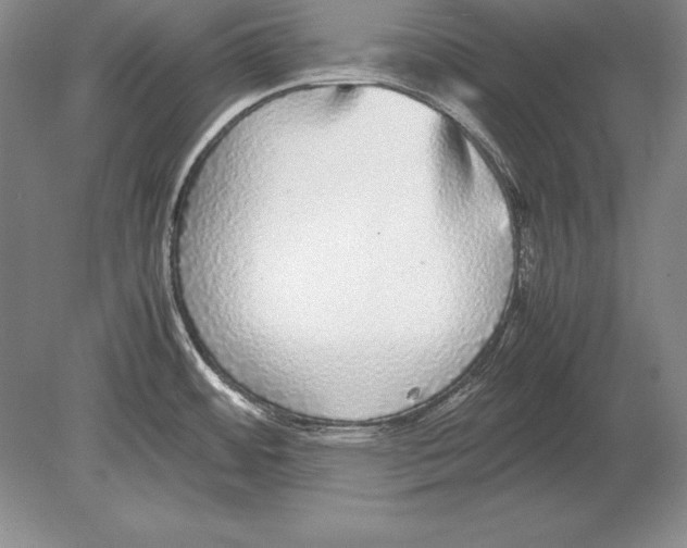 X0000078841484200612041826