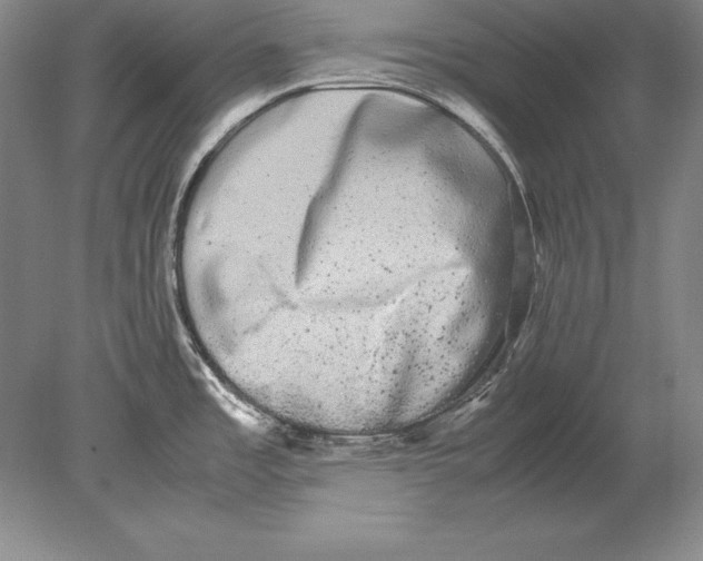 X0000078841485200612041826