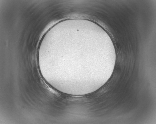 X0000078841486200612041826