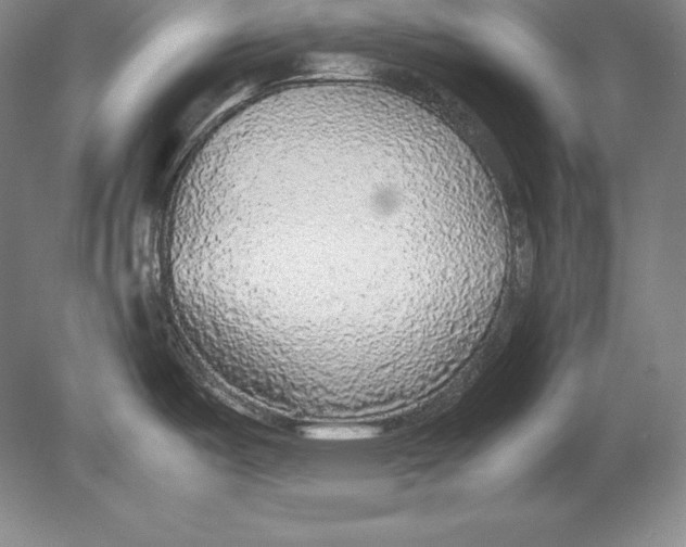 X0000078841487200612041826