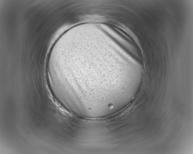 X0000078841488200612041826