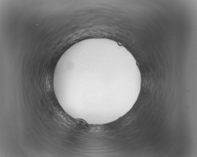 X0000078841490200612041825