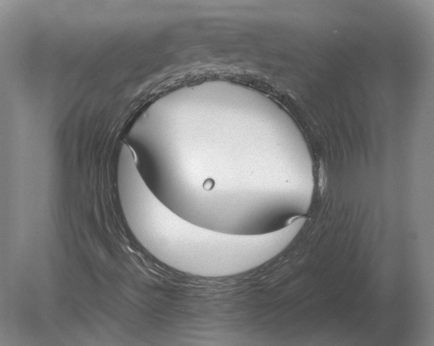 X0000078841492200612041825