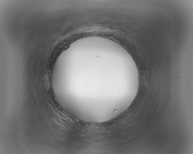 X0000078841493200612041825