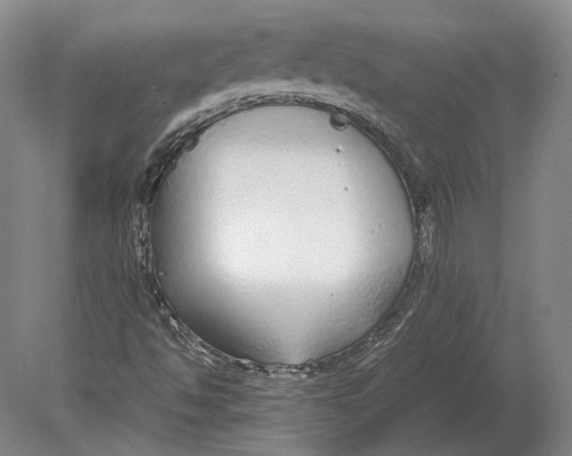 X0000078841494200612041825