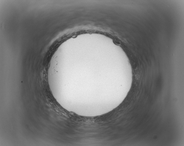 X0000078841495200612041825