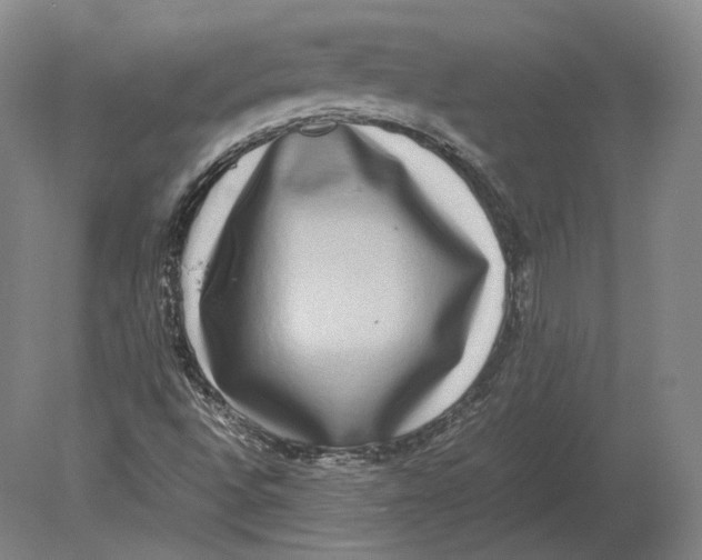 X0000078841496200612041825