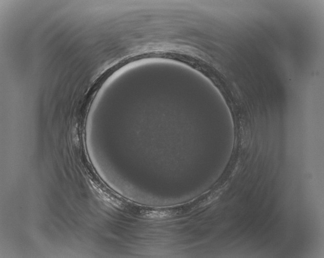 X0000078841497200612041825