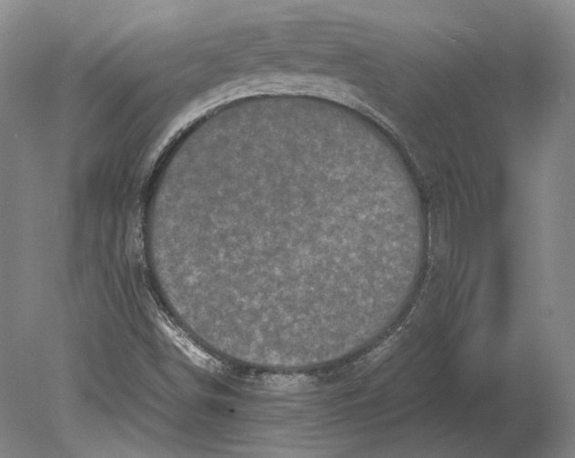 X0000078841498200612041825