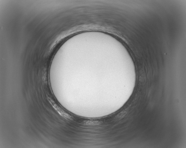 X0000078841499200612041826