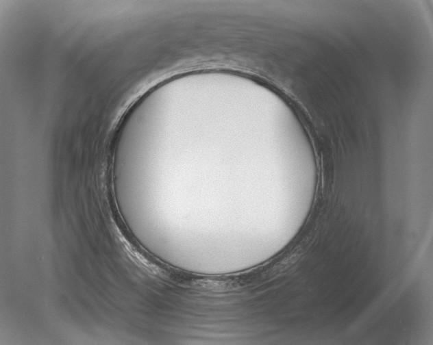 X0000078841500200612041826