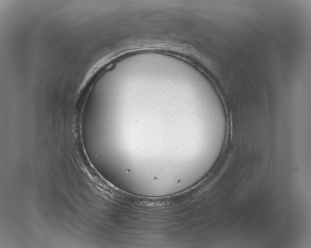 X0000078841501200612041826