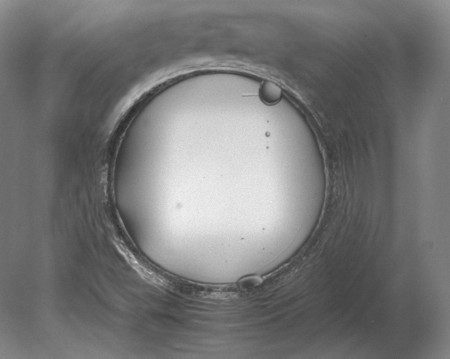 X0000078841503200612041826