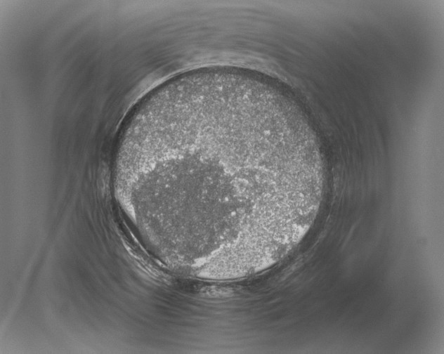 X0000078841505200612041826