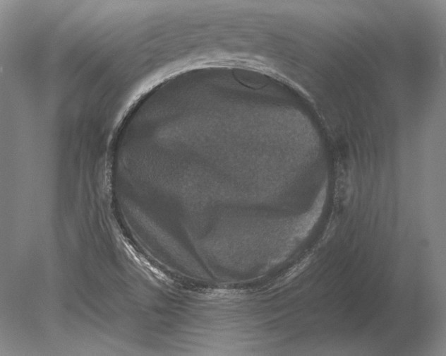 X0000078841506200612041826