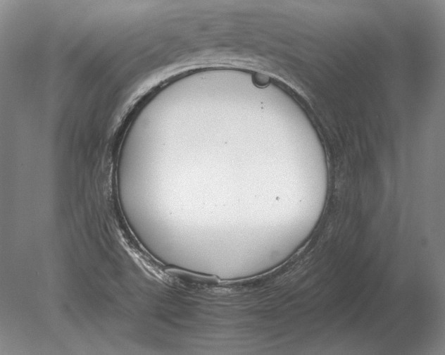 X0000078841507200612041826