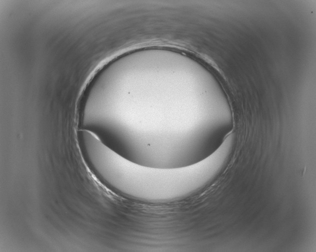 X0000078841508200612041826