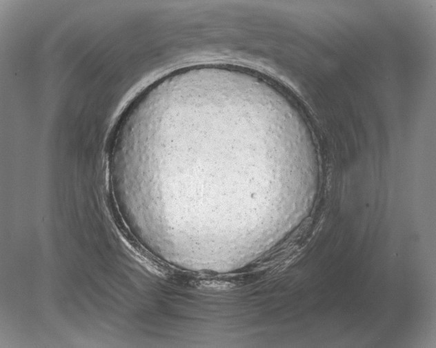 X0000078841509200612041826