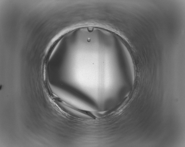 X0000078841510200612041826