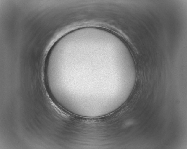 X0000078841512200612041826