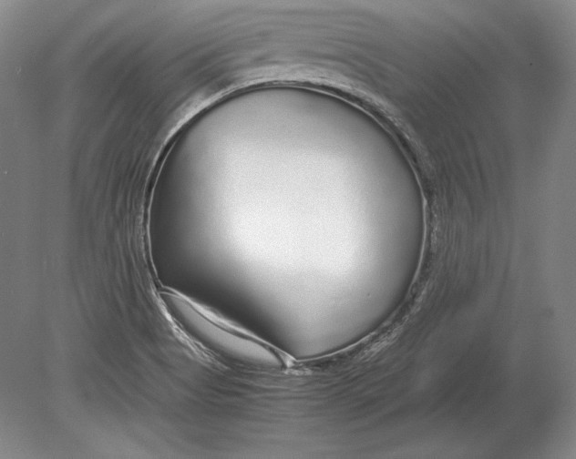 X0000078841513200612041826