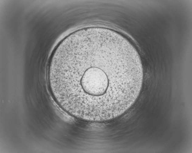 X0000078841514200612041826