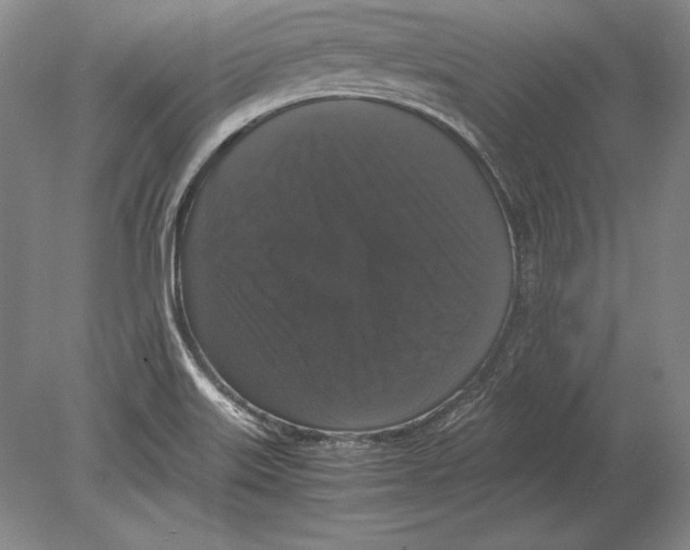 X0000078841515200612041826